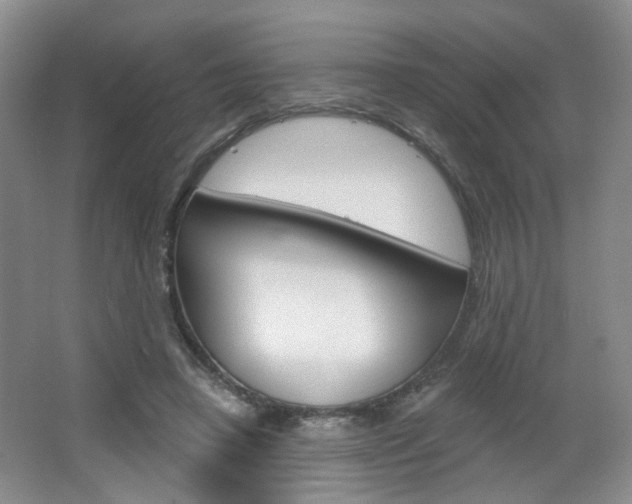 X0000066930450200603240913