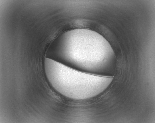 X0000066930457200603240913