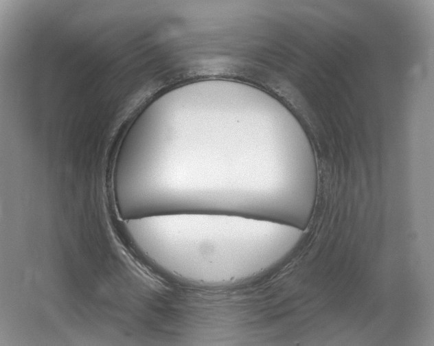 X0000066930482200603240912