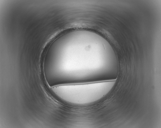 X0000066930488200603240912