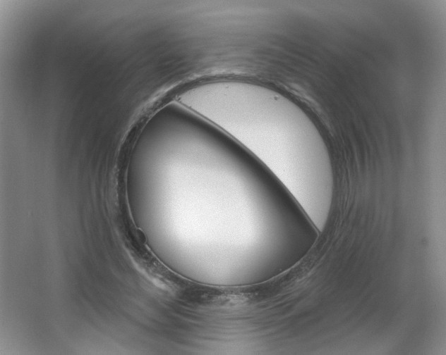 X0000066930492200603240912