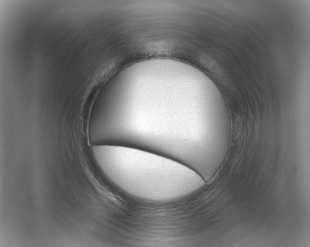 X0000066930494200603240912