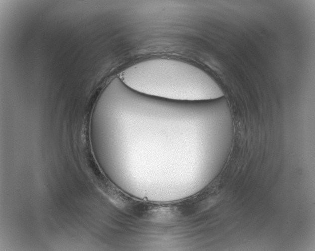 X0000066930499200603240912