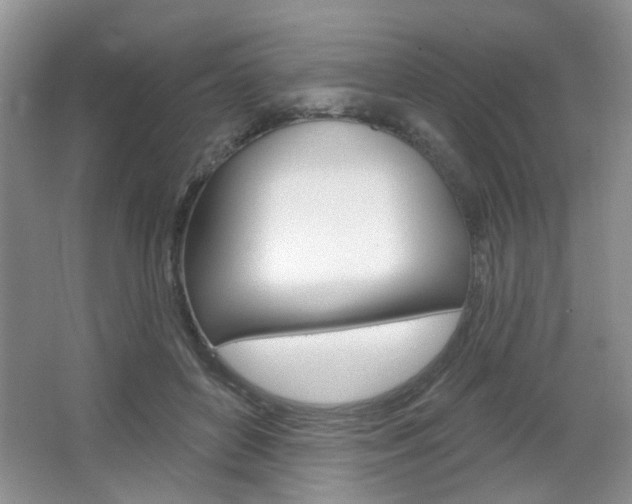 X0000066930504200603240912