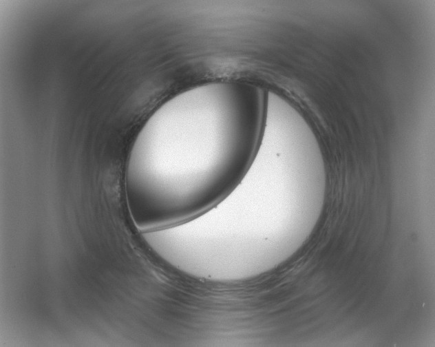 X0000066930505200603240912