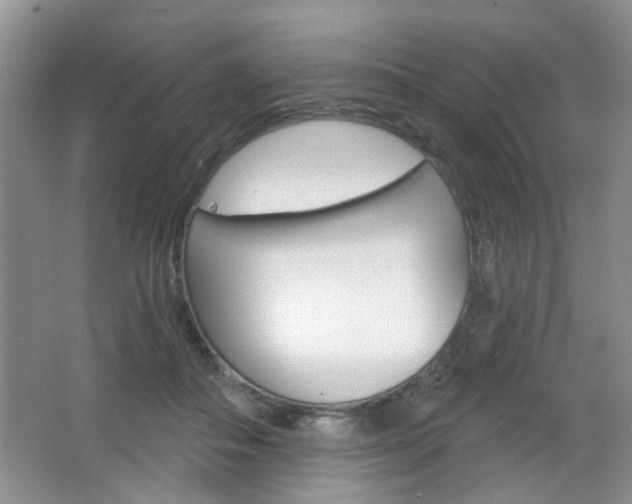 X0000066930506200603240912