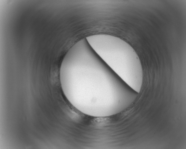 X0000066930526200603240912