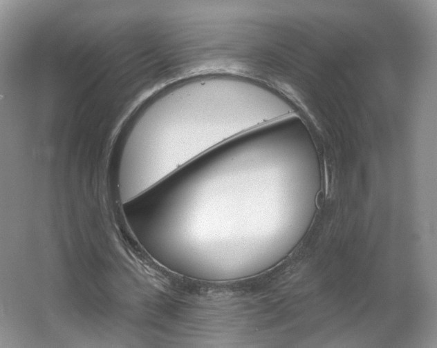 X0000066930531200603240911