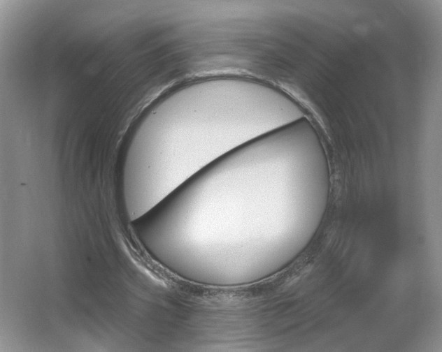 X0000066930533200603240911
