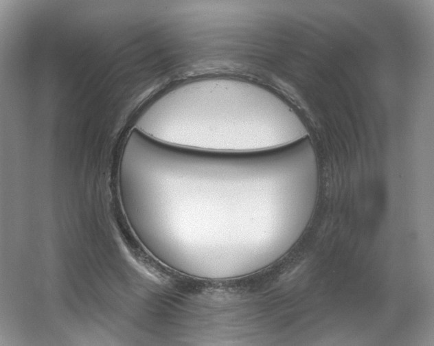 X0000066930538200603240911