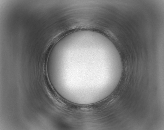 X0000066930542200603240911