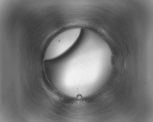 X0000066930543200603240911