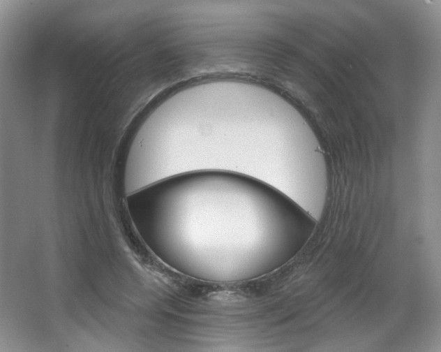 X0000066930544200603240911