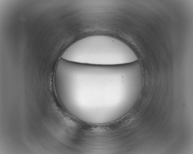 X0000066930545200603240911