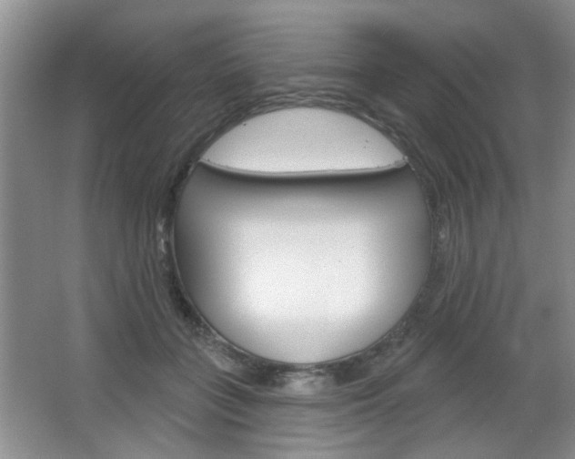 X0000066930555200603240911