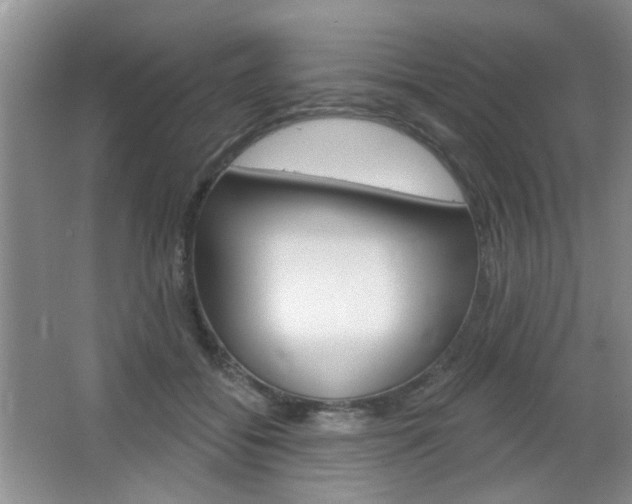 X0000066930556200603240911
