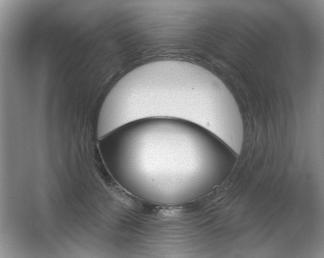 X0000066930560200603240911