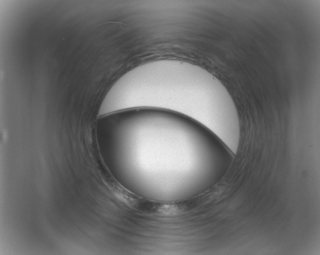 X0000066930562200603240911