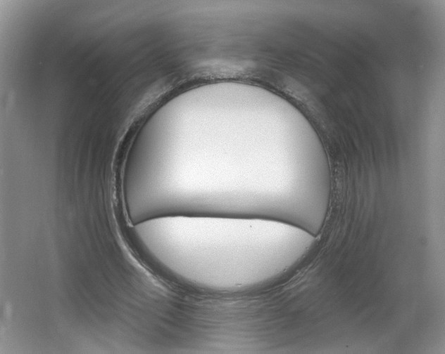X0000066930582200603240911