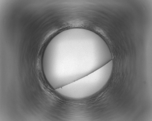 X0000066930583200603240911