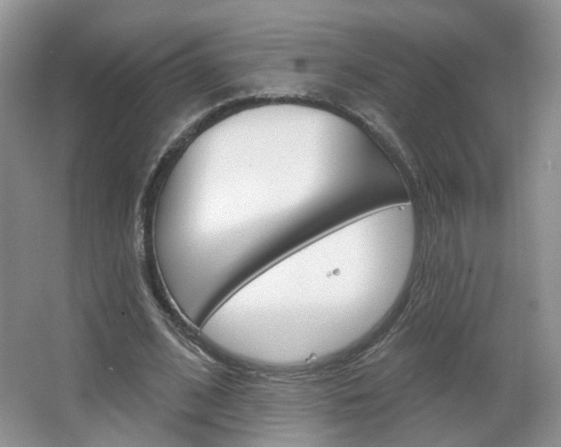 X0000066930584200603240911
