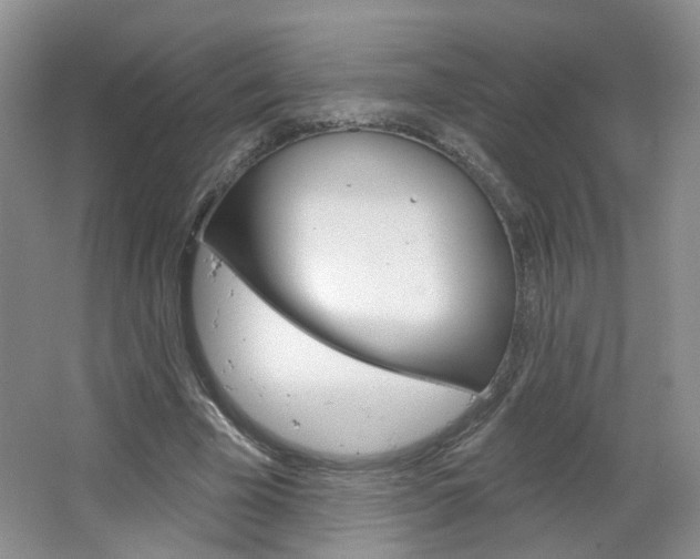 X0000066930585200603240911