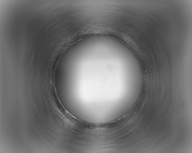 X0000066930593200603240911