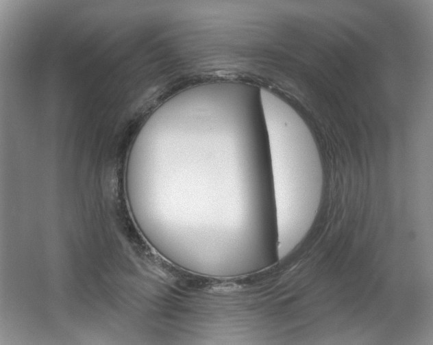 X0000066930595200603240911
