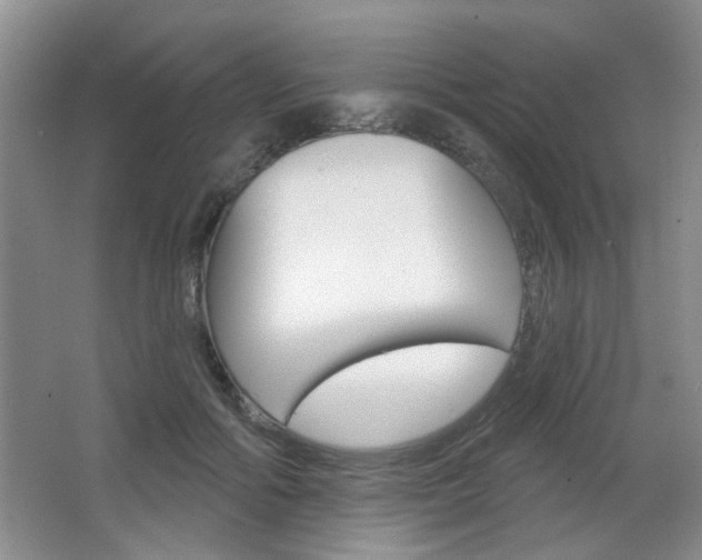 X0000066930602200603240910