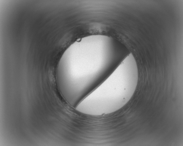 X0000066930616200603240910