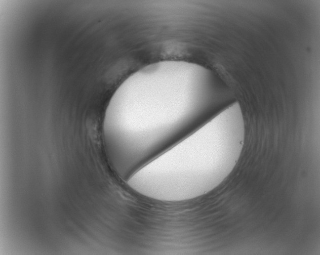 X0000066930619200603240910