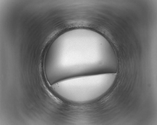 X0000066930629200603240909
