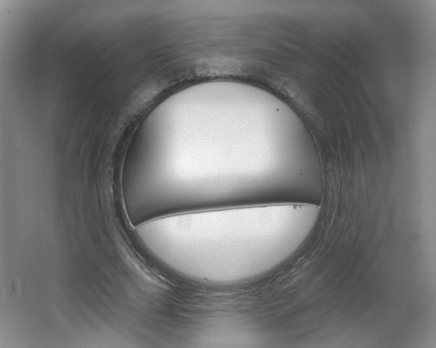 X0000066930631200603240909
