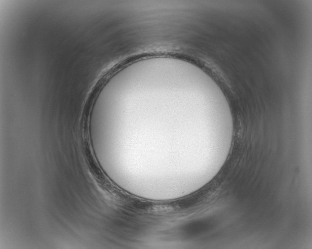 X0000066930636200603240909