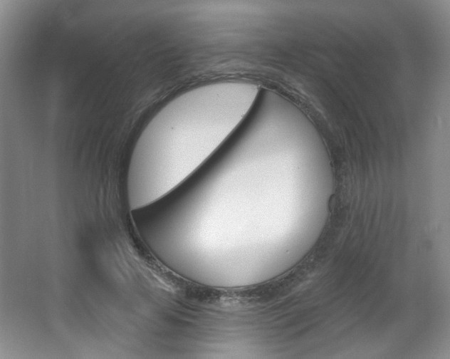 X0000066930641200603240910