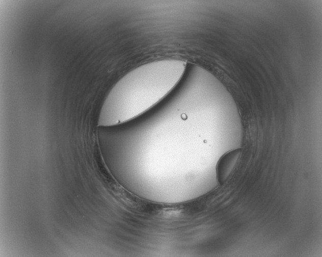 X0000066930651200603240910