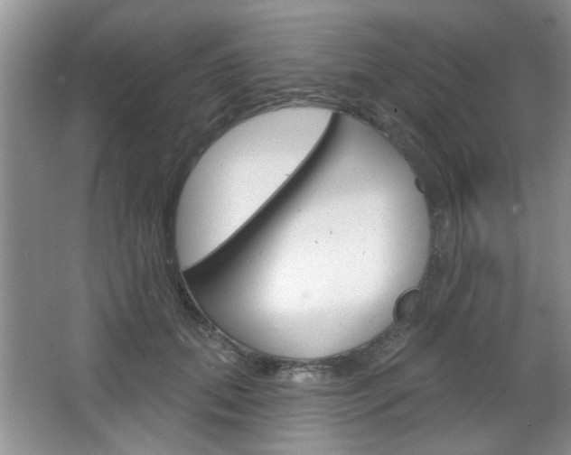 X0000066930655200603240910