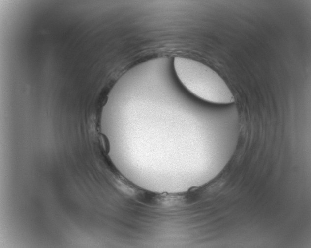 X0000066930670200603240910