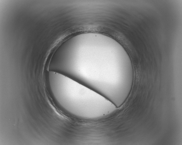 X0000066930674200603240909