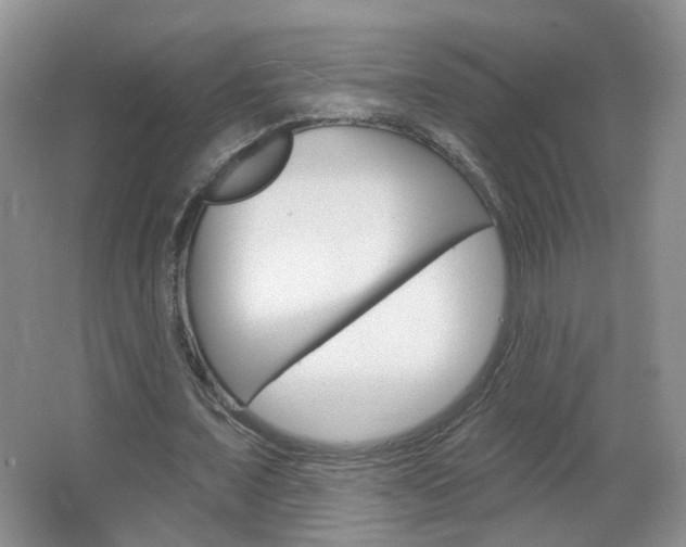 X0000066930675200603240909