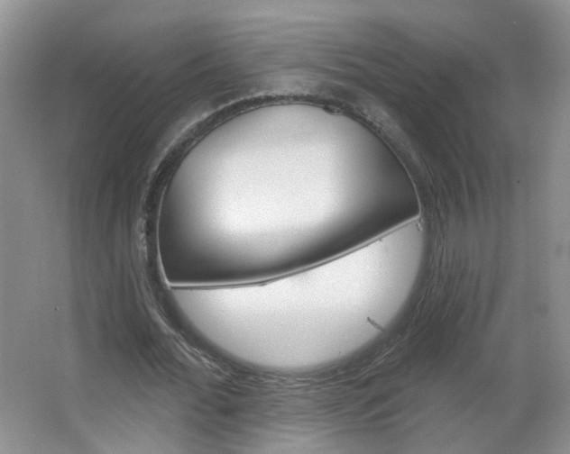 X0000066930676200603240909