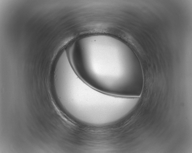 X0000066930677200603240909