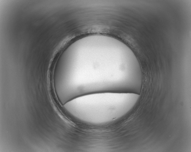 X0000066930678200603240909