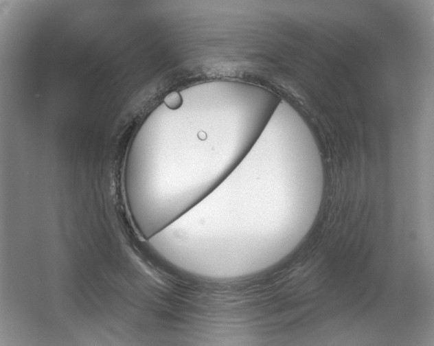 X0000066930687200603240909