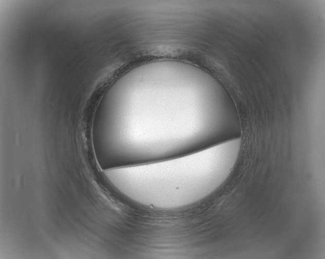 X0000066930688200603240909