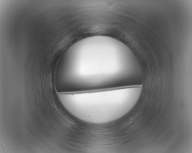 X0000066930689200603240909