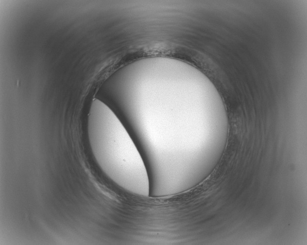 X0000066930690200603240909