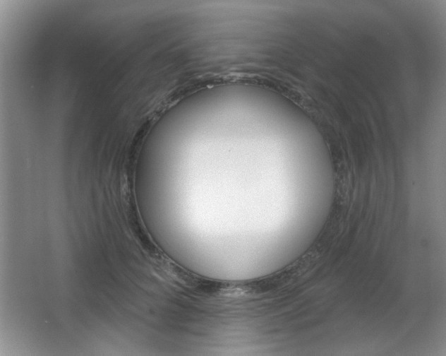 X0000066930704200603240909