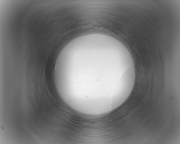 X0000066930705200603240909
