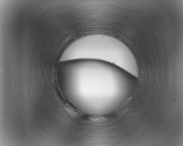 X0000066930712200603240909